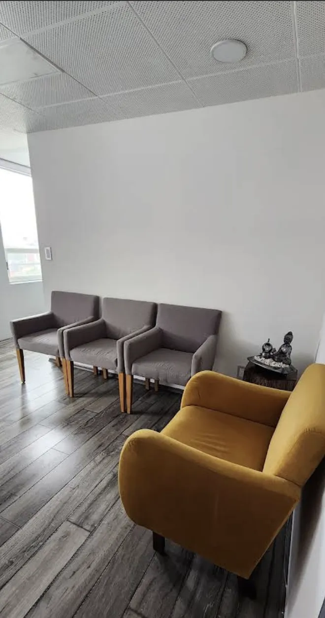 Sala de espera de Chalet Dental con butacas grises y sillón mostaza junto a la ventana